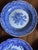 Set of 11 Room Collection Spode Blue Room Dinner Plates For Sale - Image 11 of 13
