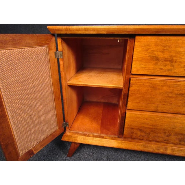 Mid-Century Modern Mid 20th Century Mid-Century Modern Cane Door Server For Sale - Image 3 of 8