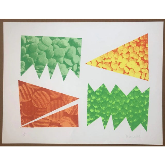 1970s 1976 Roger Benedetti Fear of Vegetables Pop Art Serigraph For Sale - Image 5 of 5