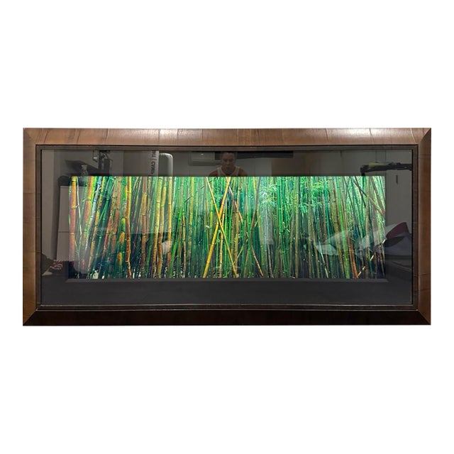 Peter Lik “Bamboo” | Limited Edition Fine Art Photograph | Signed & Numbered | Coa For Sale