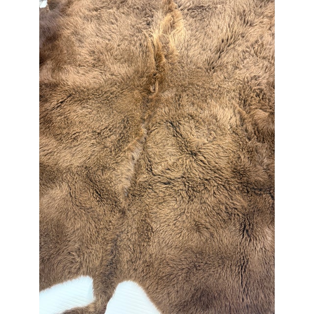 6ft 8in × 8ft Buffalo Pelt, Winter Woolly For Sale - Image 10 of 12
