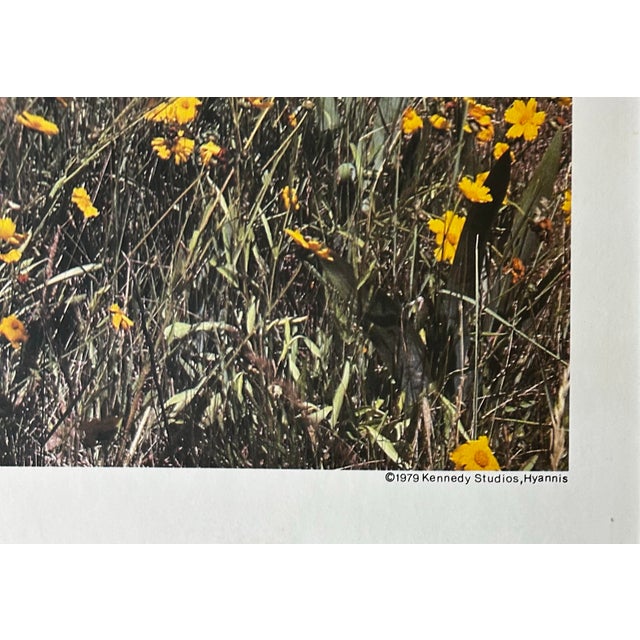 Paper Vintage 1979 Kennedy Studios Poster of Cape Cod ~ Framed For Sale - Image 7 of 8