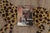 Vintage Leopard Pictorial Gabbeh Rug by Rug & Kilim, Afghanistan, 1950-1959 For Sale - Image 10 of 10