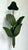 Vintage Green Banana Leaf Six Arm Chandelier For Sale - Image 12 of 12