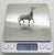 Metal Vintage Italian Handmade Genuine Silver Giraffe Figurine Large Miniature Vicenza 800 Continental Silver Animal Sculpture Cabinet Curiosity For Sale - Image 7 of 9