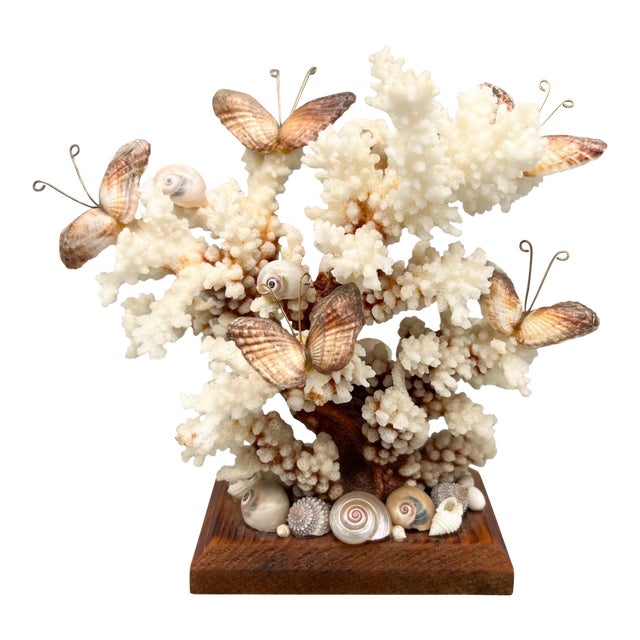 Vintage Seashell Butterfly Sculpture on Wood Base – Coastal Shell Art Decor For Sale