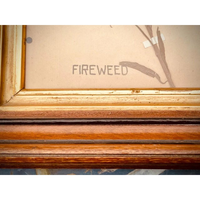 From a Collection of very fine antique specimens we acquired recently. These were collected from Canada, By an American...