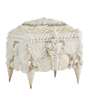 Currey & Company Boardwalk White Shell Jewelry Box