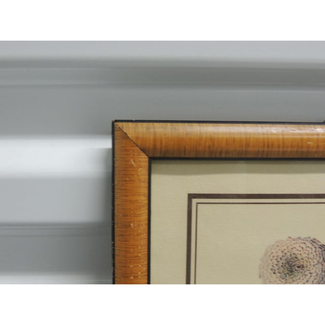 Vintage Framed Floral Printed Bouquet in Wood Frame For Sale - Image 4 of 7