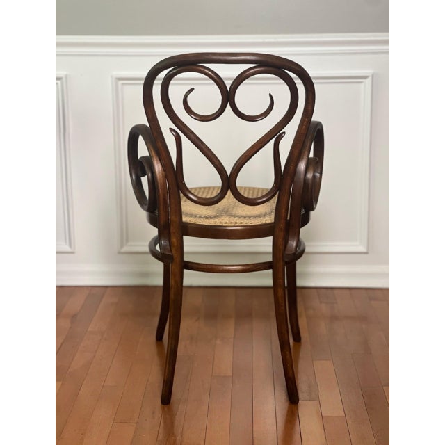 Italian Bentwood Thonet "Cafe Daum" Style Armchair by Salvatore Leone, 1960s For Sale In Philadelphia - Image 6 of 12