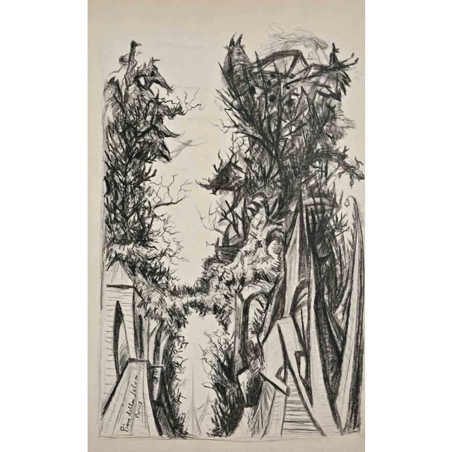 Pino della Selva, Trees, Original Charcoal Drawing, Early 20th Century For Sale - Image 3 of 3