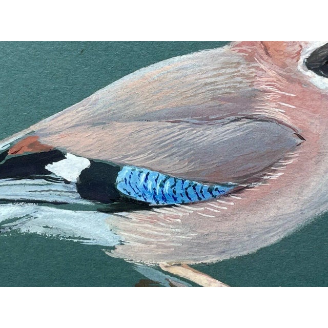Paper British Watercolor Painting Jays Perched Bird Study by Donald Watson Framed Dated 1957 For Sale - Image 7 of 12