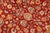 Shabby Chic 1990's Floral Pak-Persian Red/Beige Wool Rug - 6'1'' X 9'2'' For Sale In New York - Image 6 of 9