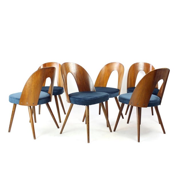 Set of six dining chairs produced by Tatra in Czechoslovakia, designed by Antonín Šuman in the 1960s. The design is...