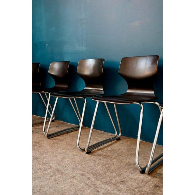 Pagholz Flötotto Scandinavian Chairs in Pagwood from Flötotto, 1960s, Set of 5 For Sale - Image 4 of 12
