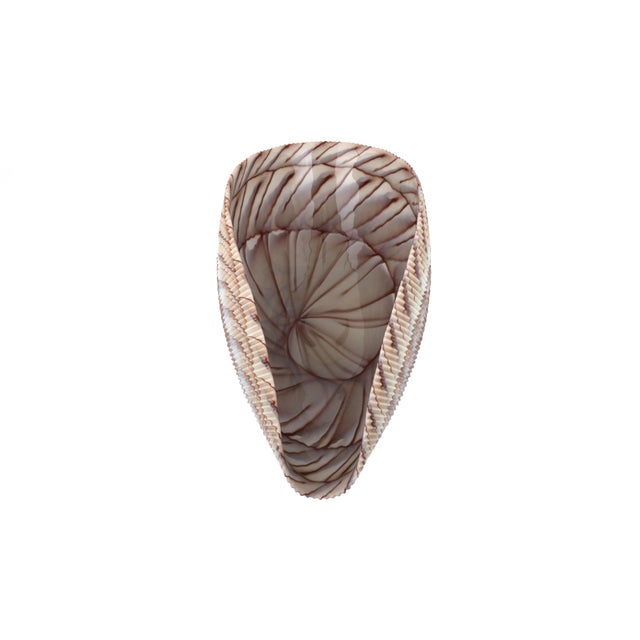 Large Yalos Murano Shell Ivory and Brown Glass Bowl - Folded Glass Centerpiece For Sale - Image 12 of 15