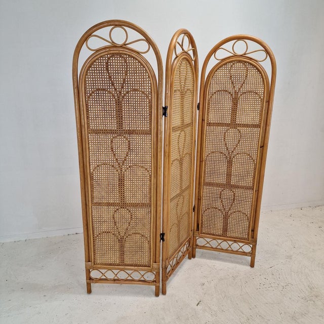 Italian Rattan and Wicker Room Divider, 1960s For Sale - Image 9 of 18