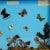 School Teaching Display of the Insects of the Forest Edge For Sale - Image 3 of 6