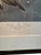 John James Audubon Large Framed John James Audubon Golden-Eyed Duck Primordial Folio Print For Sale - Image 4 of 14