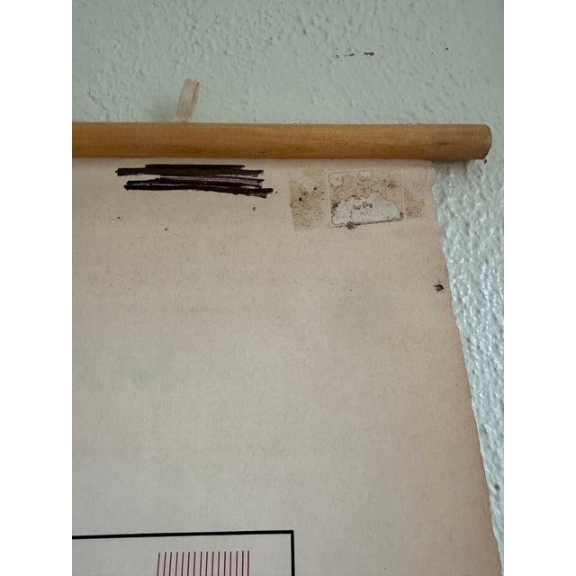 Vintage 1969 Typing Instruction Pull-Down Chart – Secretary School Poster --Poster E For Sale In Jacksonville, FL - Image 6 of 7