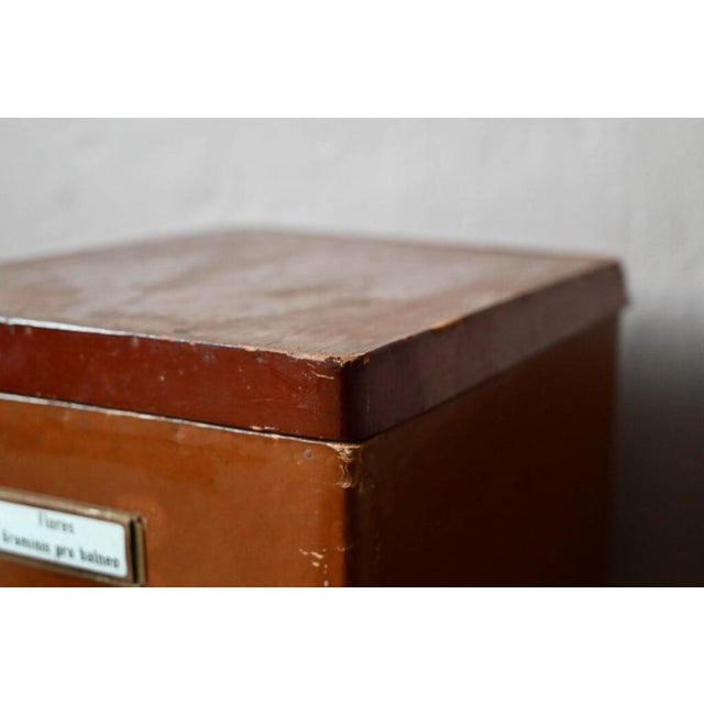 Large Industrial Herbalist Cardboard Box For Sale - Image 12 of 16