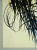 After Hans Hartung, Composition, 1960s, Offset Lithograph For Sale - Image 5 of 12