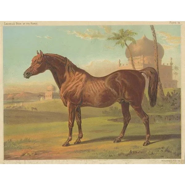 Goldie, Paper For Sale - Image 3 of 6