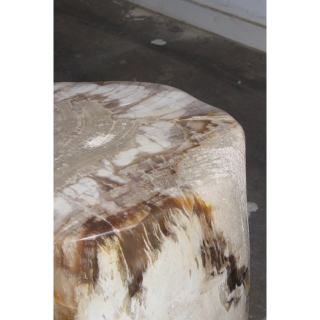 Petrified Stool - Single For Sale - Image 17 of 17