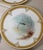 Ceramic Set of 6 Antique 1800's Hand Painted Limoges Tressemanes & Vogt Porcelain Fish Plates For Sale - Image 7 of 18