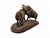 Late 19th Century Black Forest Carved Sculpture of Two Warthogs, 1880s For Sale - Image 5 of 12