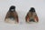 1970s Goebel W Germany Cv73 and Cv74 Pair of 2 Porcelain Sparrow Bird Figurines 4899b For Sale - Image 5 of 18
