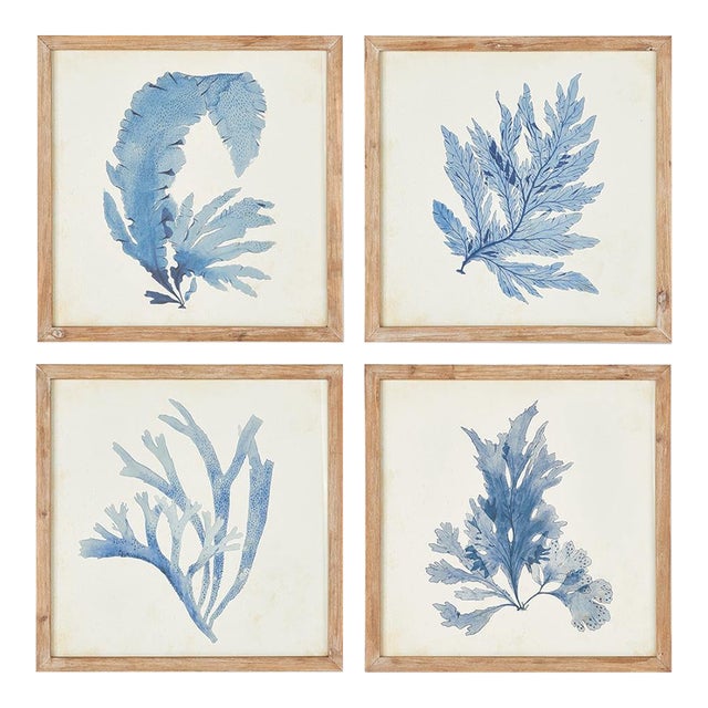 Framed Coral Watercolor Prints, Set Of 4 For Sale