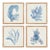 Framed Coral Watercolor Prints, Set Of 4 For Sale