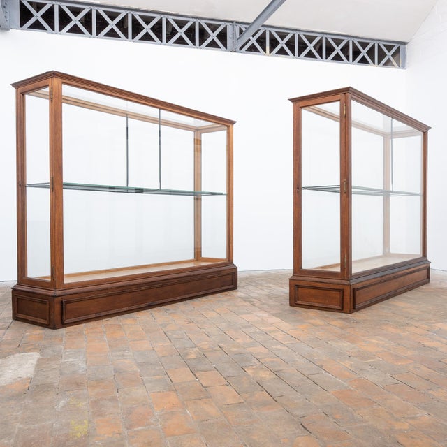 Antique Oak Museum Display Cases, 1900 For Sale - Image 13 of 13