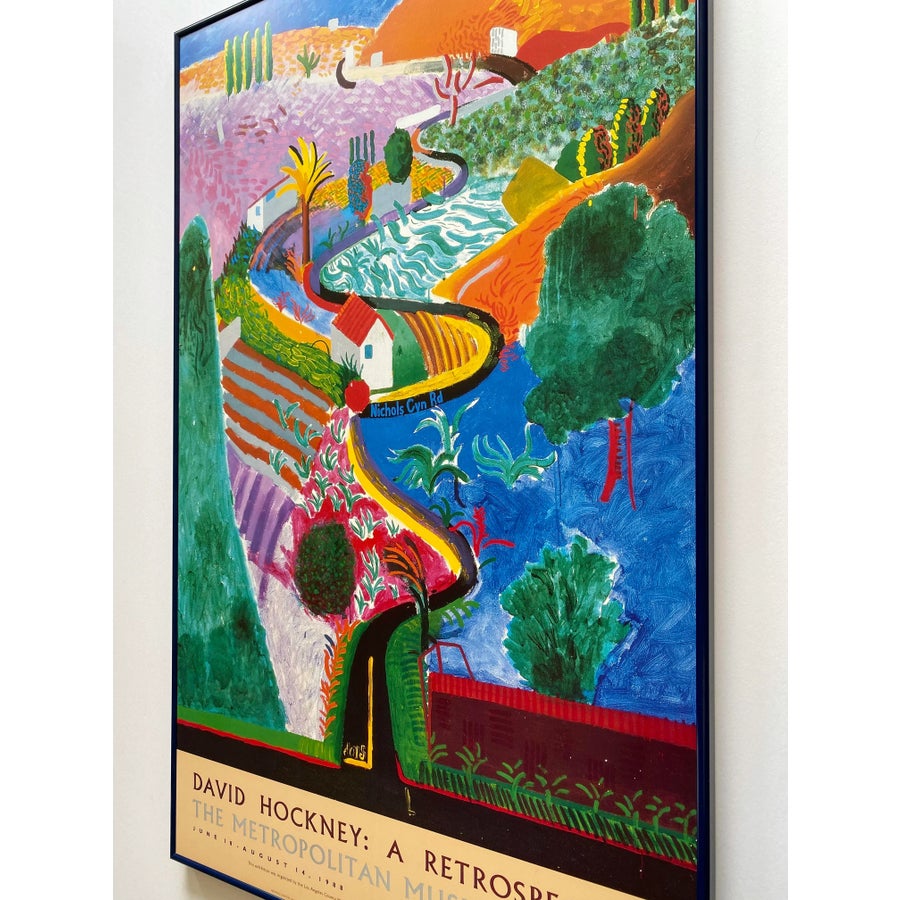 David Hockney Vintage 1988 Lithograph Print Framed Large Museum