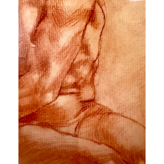 Paper Classical Figurative Drawing of Male Torso by Renowned UK-based Artist Brian Gorst For Sale - Image 7 of 8