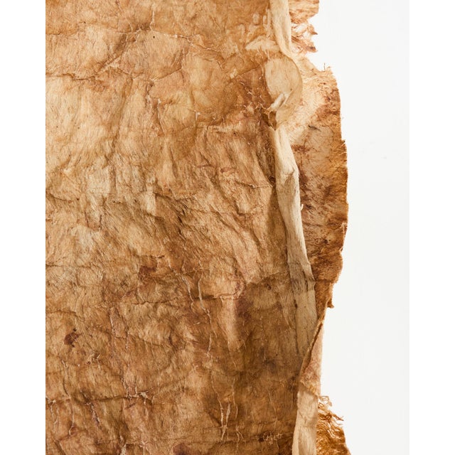 Tribal Style 12 Ft Polynesian Tapa Bark Cloth From Tonga For Sale - Image 15 of 18