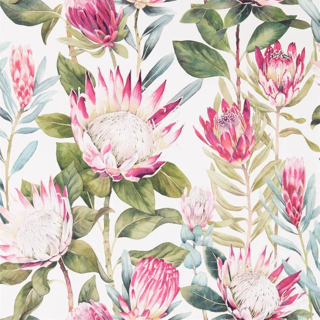 Sanderson King Protea Wallpaper in Rhodera/Cream - a Sample For Sale