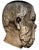 Concrete Head of the Philosopher Socrates from the Herm of Villa Alban 20th Century For Sale - Image 5 of 6