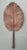 Vintage Copper Botanical Wall Art For Sale - Image 9 of 12
