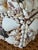Vintage Handcrafted Shell-Covered Coastal Keepsake Box For Sale - Image 10 of 11