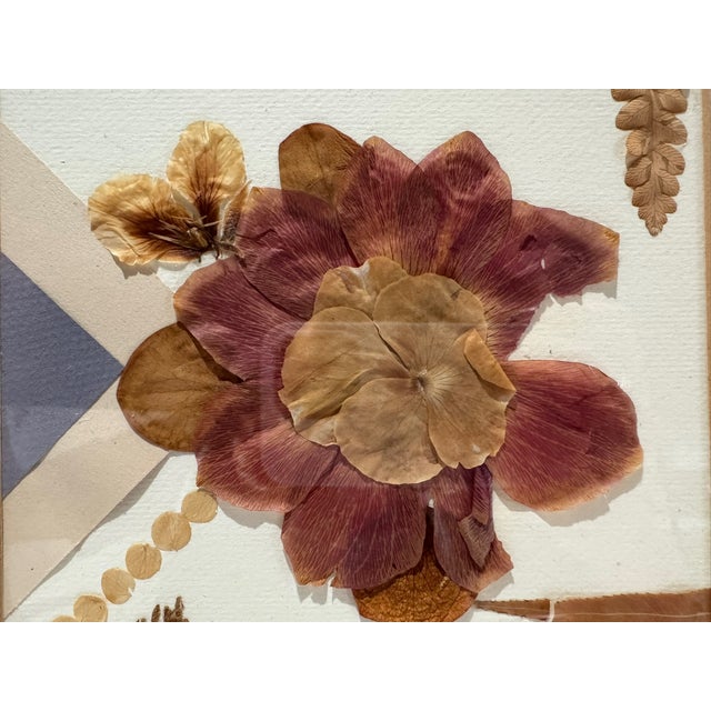 Ellen Schiffman 1995 Preserved Botanical Collage Original Framed For Sale In Atlanta - Image 6 of 9