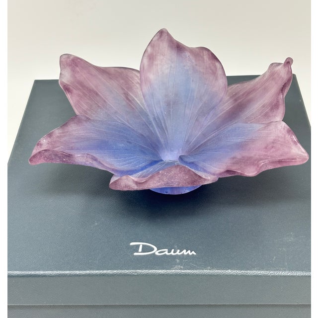 Daum France Amaryllis Amethyst Pate De Verre Crystal Vide-Poche Bowl Signed in Original Box For Sale - Image 9 of 14