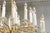 1950s 24-Light Crystal & Brushed Brass Chandelier in Manner of Sciolari For Sale - Image 11 of 14