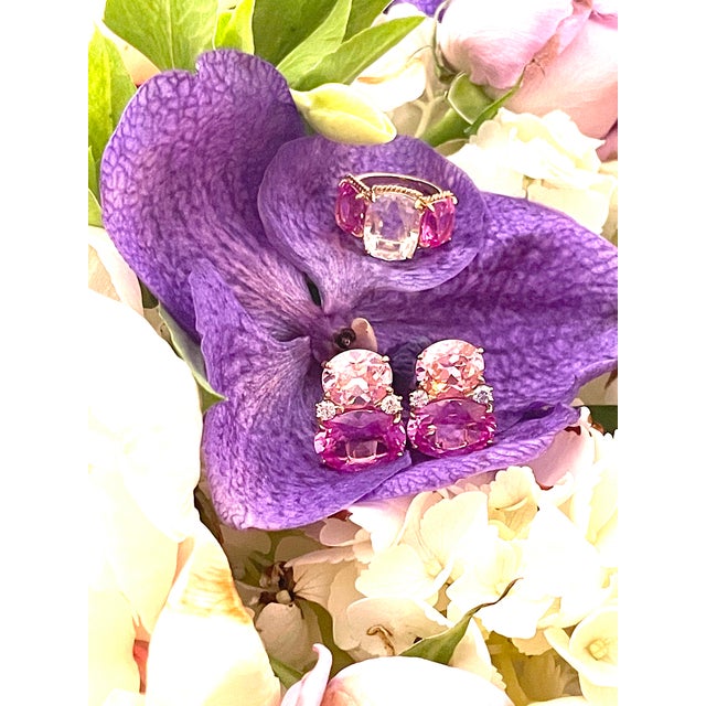 Christina Addison Elegant Green Amethyst and Iolite Ring With Gold Rope Twist Border For Sale - Image 12 of 12