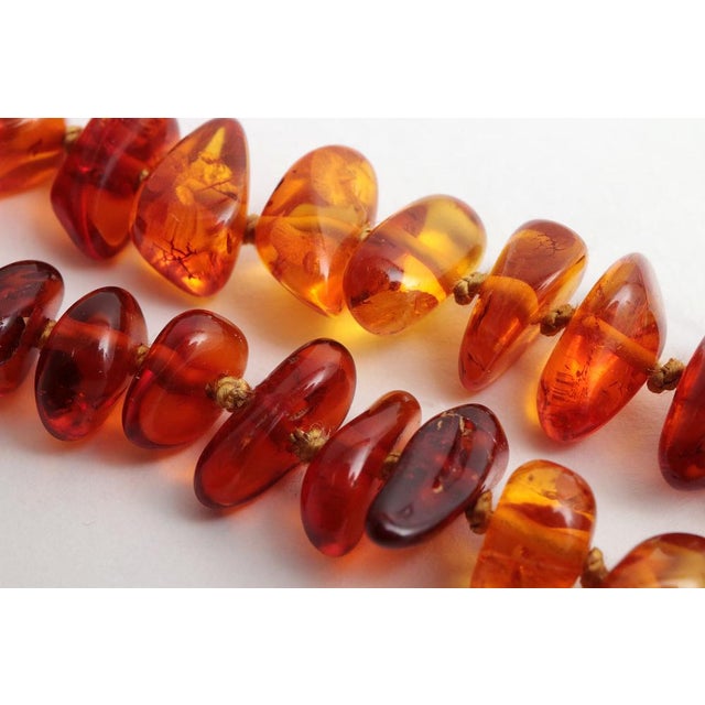 Vintage Three Amber Necklaces, 1960s, Set of 3 For Sale - Image 10 of 18