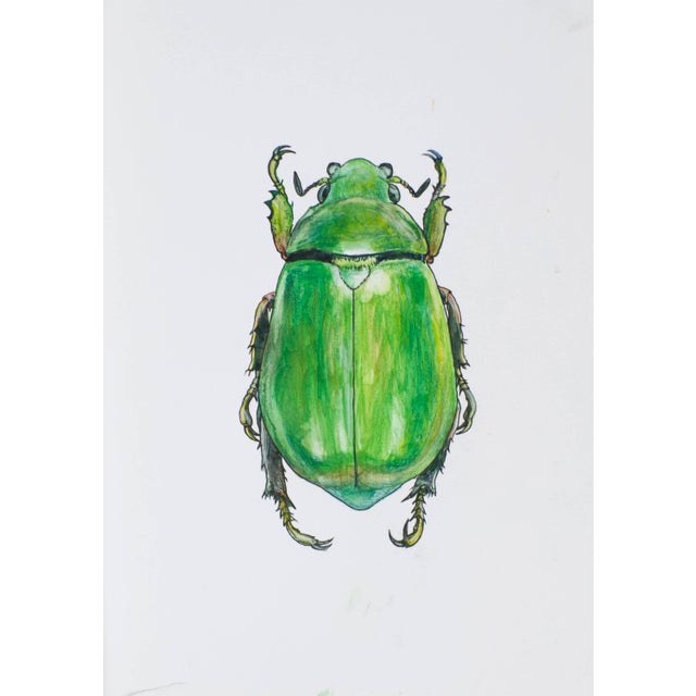 Contemporary Juris Utans, Big Green Beetle, 2021, Mixed Media on Paper For Sale - Image 3 of 3