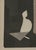 Black Mid Century Kaoru Kawano "Doves and Girl" Monochrome Woodblock Print - Pencil Cursive Signed For Sale - Image 8 of 13