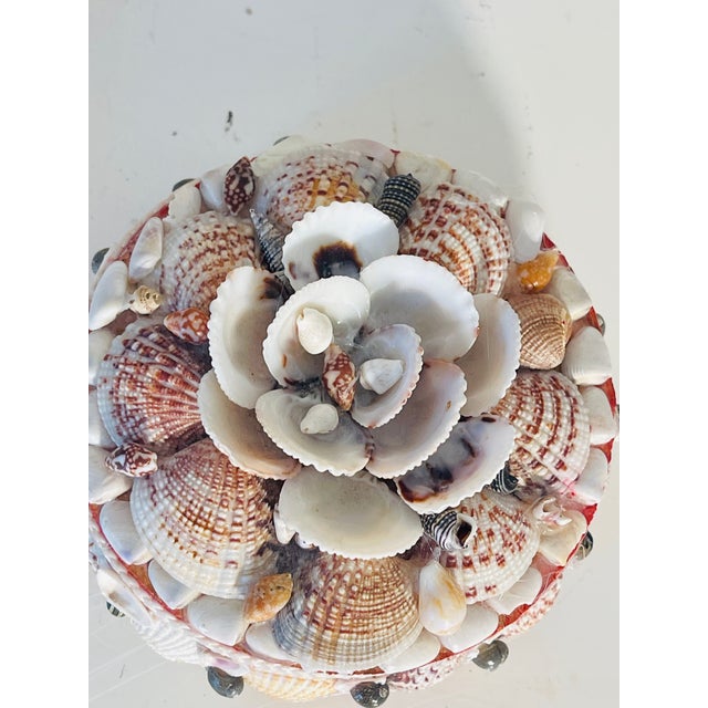 Coastal Antique Round Sea Shells Encrusted Encrusted Florida Gift Box For Sale - Image 3 of 4