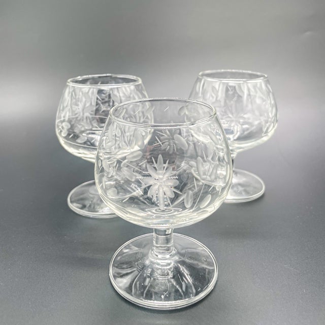Transparent Vintage Etched Floral Crystal Brandy Snifters Set of 6 For Sale - Image 8 of 12